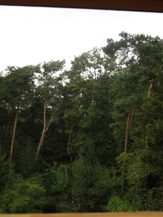 De Loteling Zoersel Eksteriør bilde